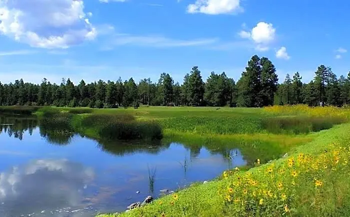 Roundhouse 5* Pinetop-Lakeside